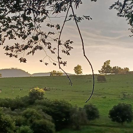 Little Fields Country House And Cottages Howick Eksteriør bilde
