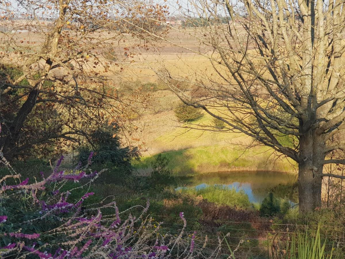 Little Fields Country House And Cottages Howick Eksteriør bilde
