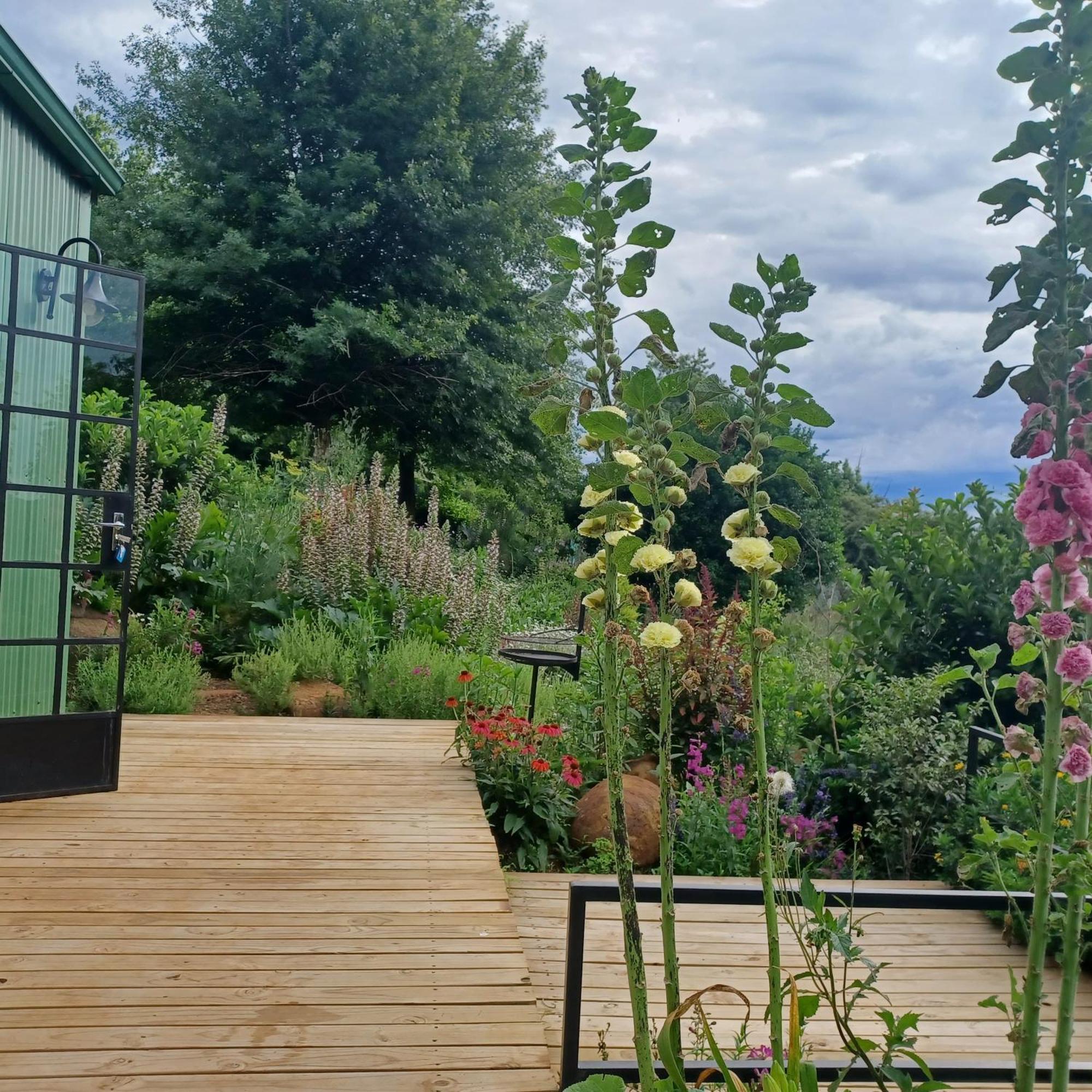 Little Fields Country House And Cottages Howick Eksteriør bilde