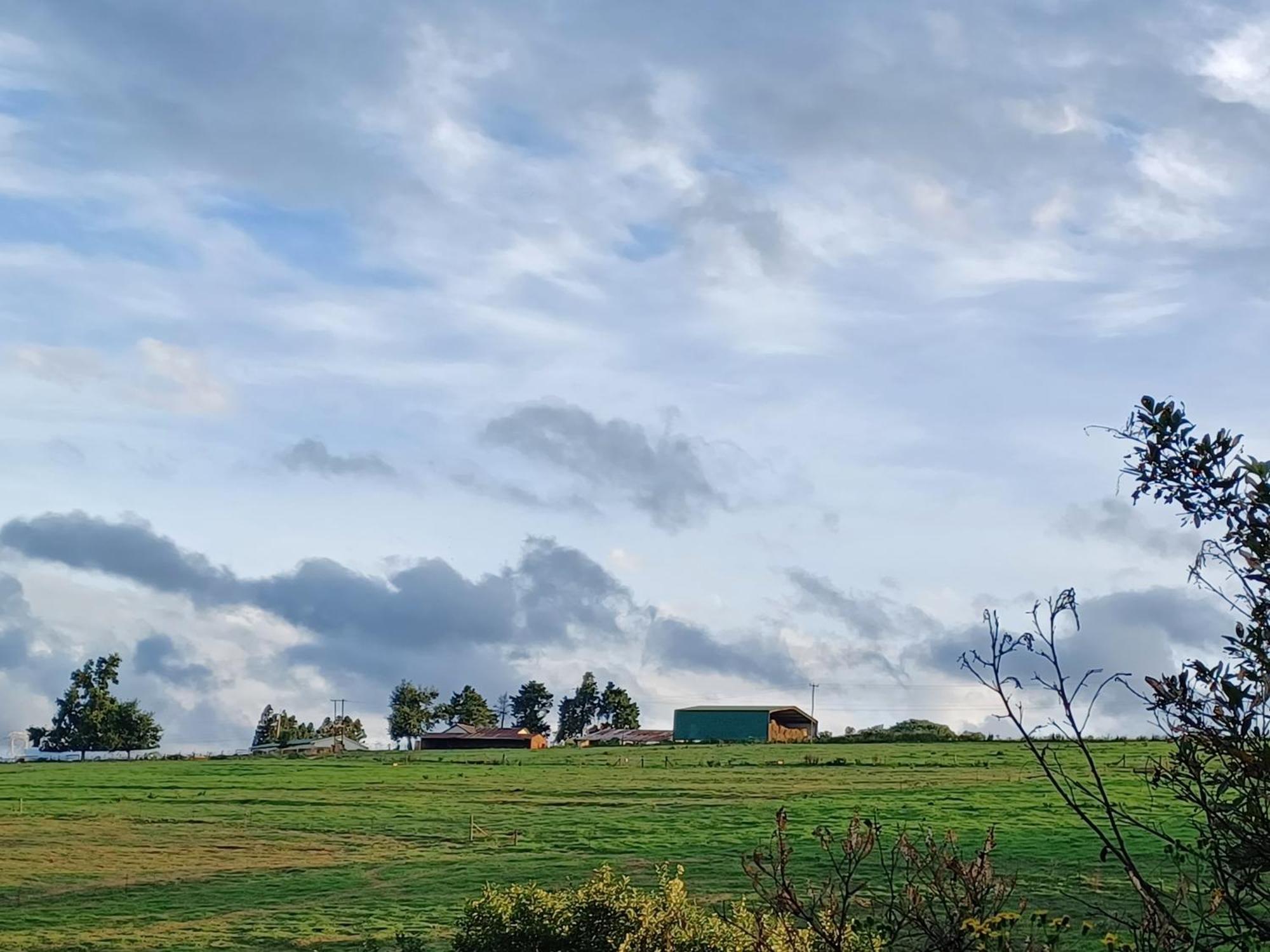 Little Fields Country House And Cottages Howick Eksteriør bilde