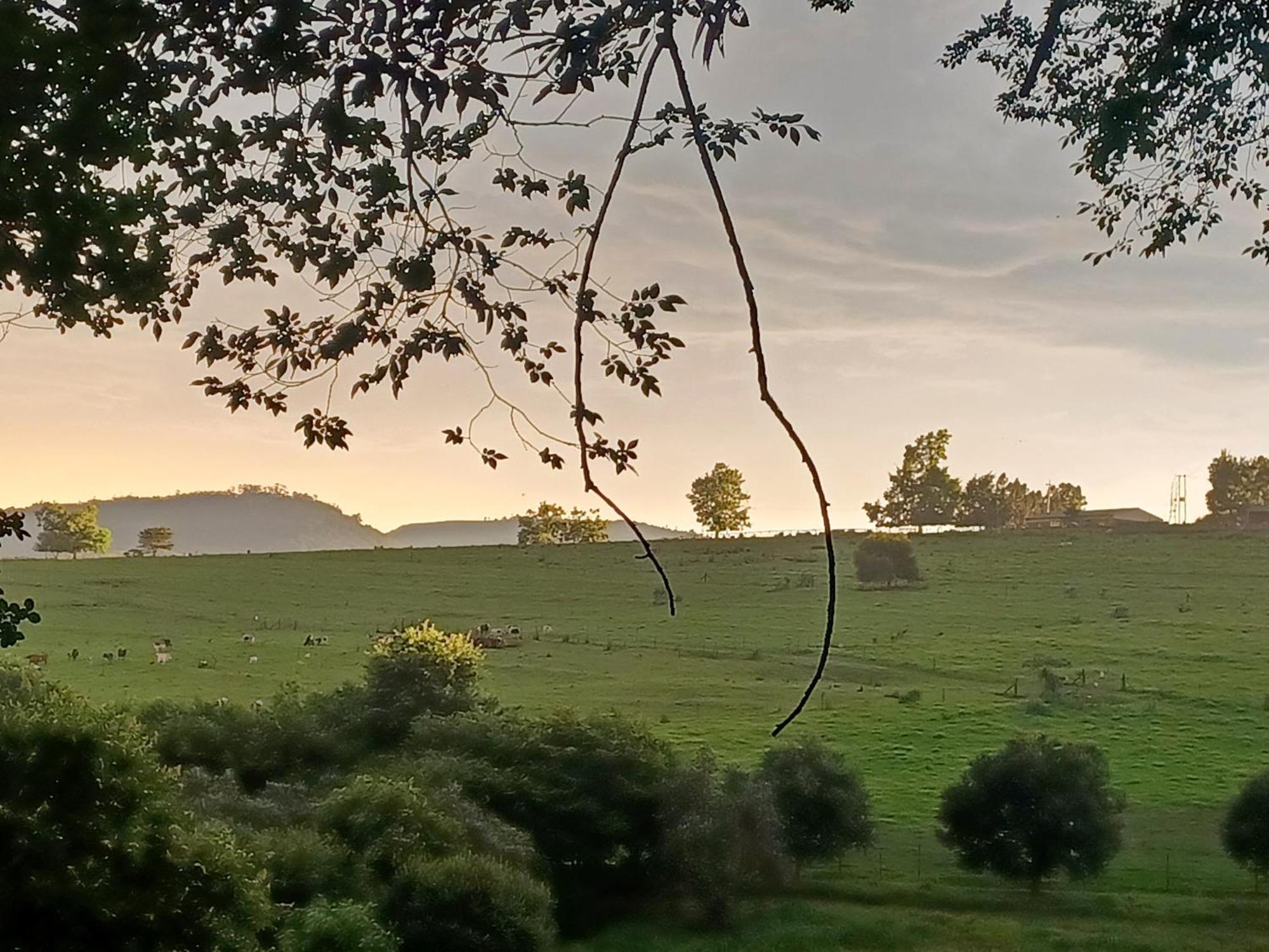 Little Fields Country House And Cottages Howick Eksteriør bilde